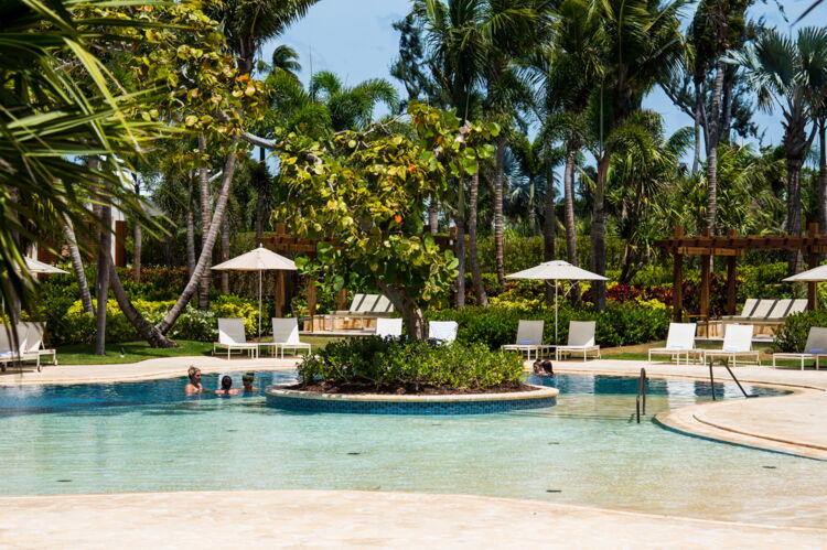 Take a Dip and Grab a Bite at Encanto