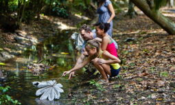 Nature Trails Dorado Beach