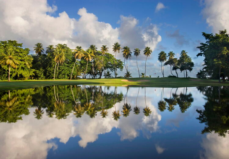 The Picturesque Greens of TPC East Course