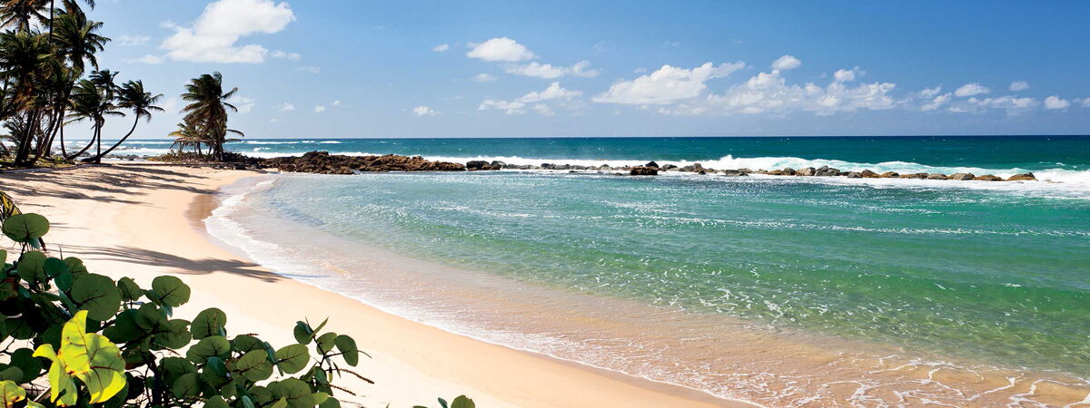Golden Sands of Puerto Rico