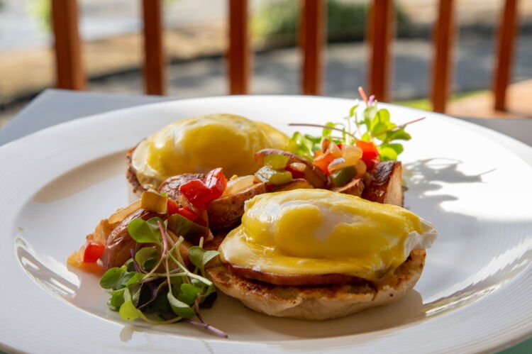 Panela's Egg's Benedict