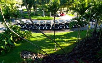 Golf Carts