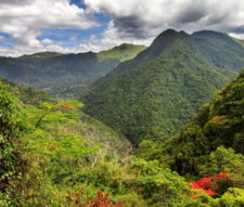 Natural Landscapes
