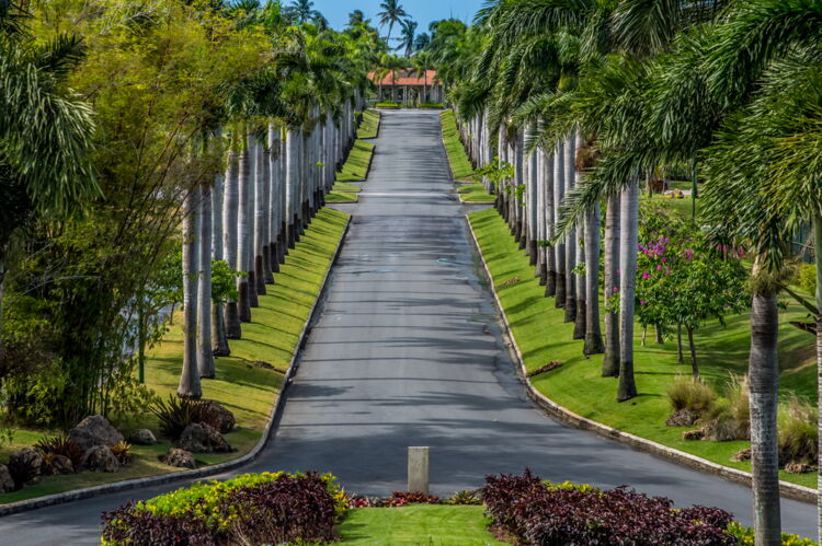 View from Clubhouse Terrace