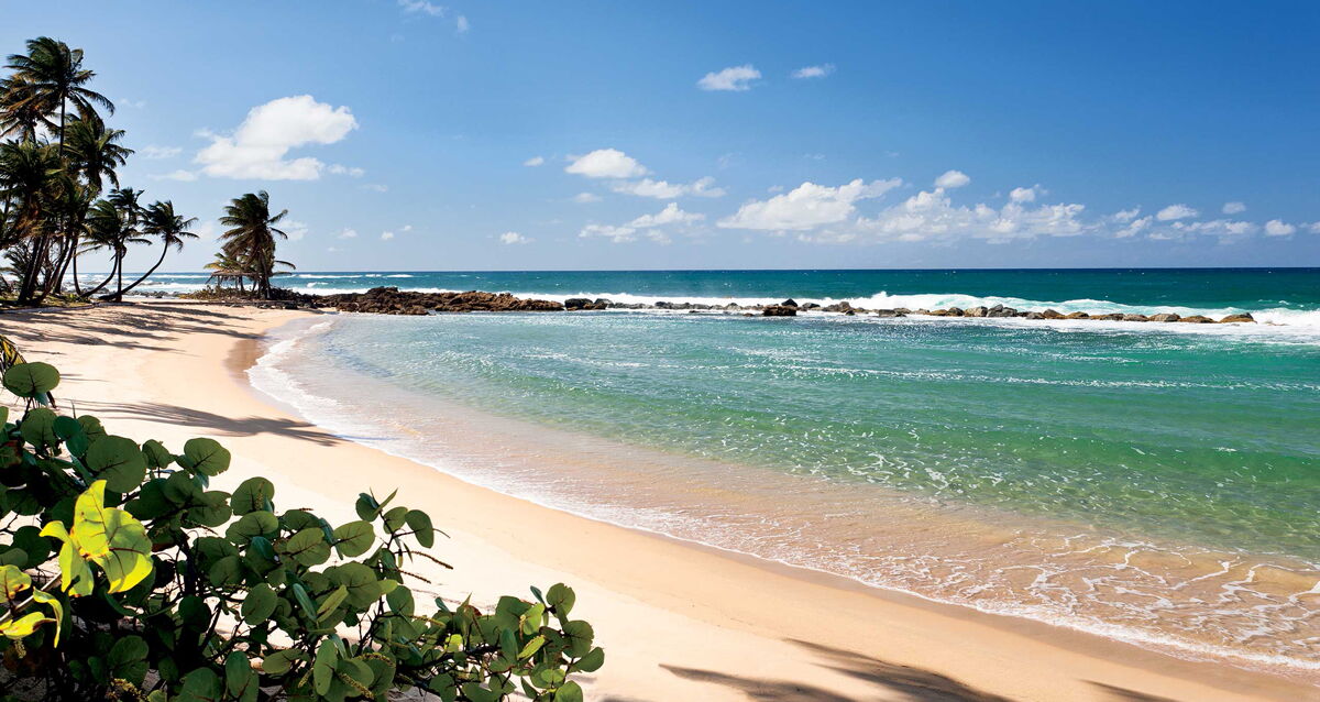Golden Sands of Puerto Rico