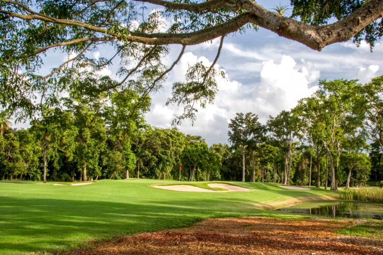 Perfect Your Approach During Private Lessons