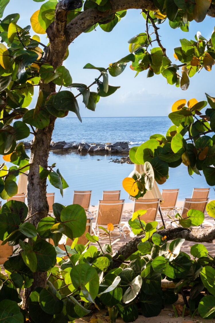 Peaceful Wave Watching at West Beach