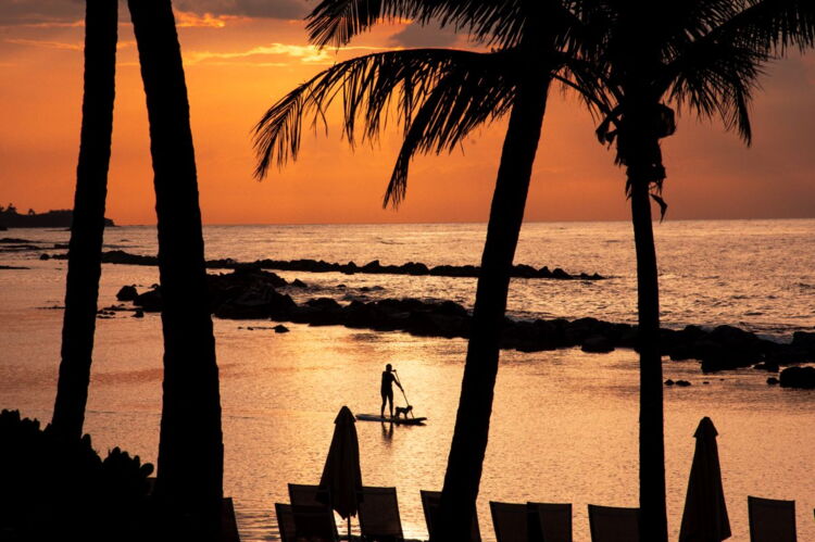Take Your Pup to Watch the West Beach Sunset