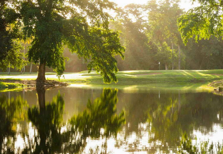 Peaceful Golf Course Views