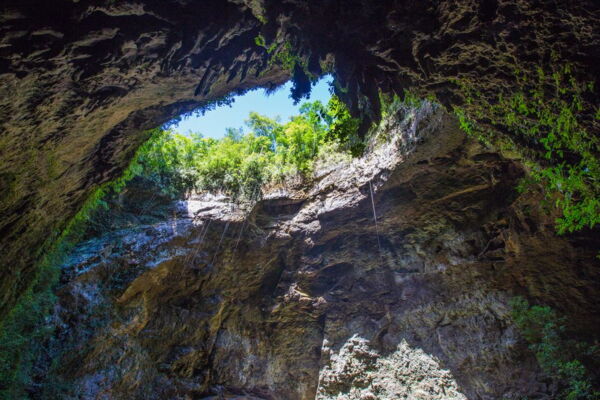 Rio Camuy Cave