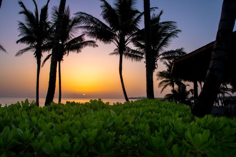 Sunrise on East Beach