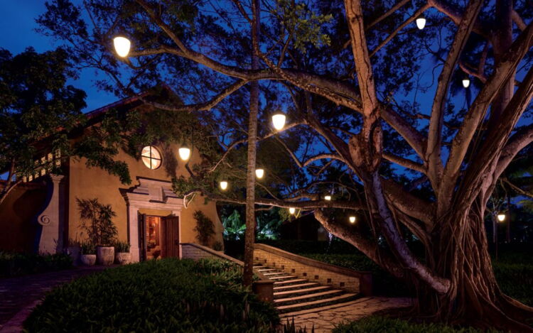 Spa Botanico Night Exterior