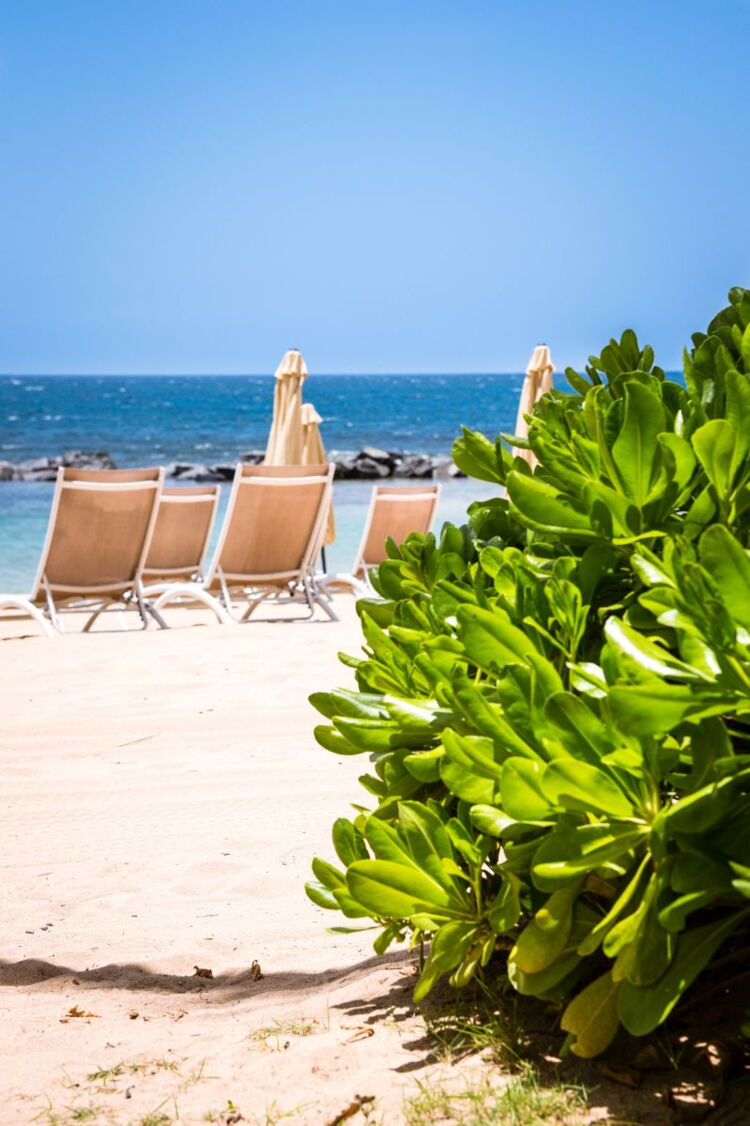 The White Sands of West Beach