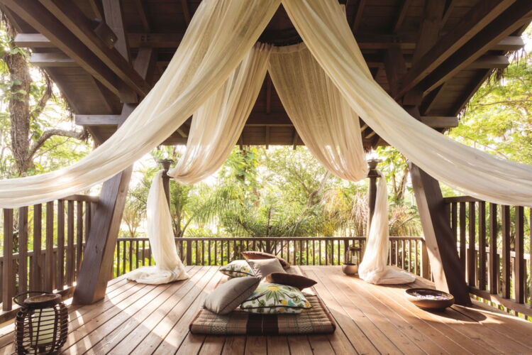 Relax and Refresh at the Spa Treehouse