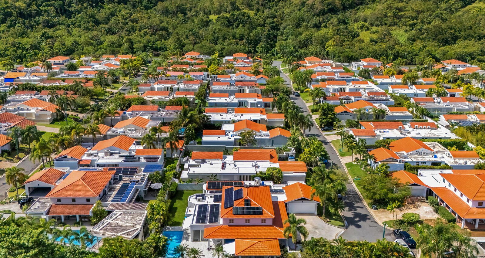 Aerial Sabanera Dorado