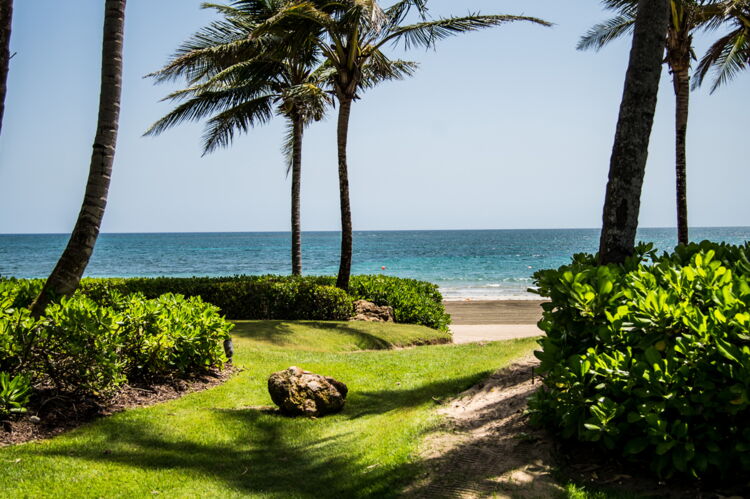 East Beach Right in Your Backyard