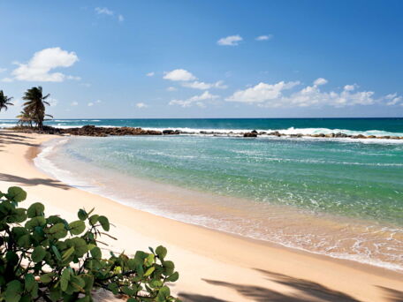 Golden Sands of Puerto Rico