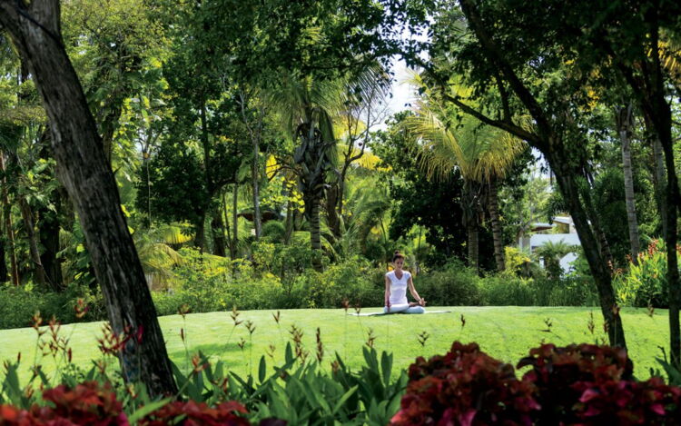 Spa Botanico Green Space