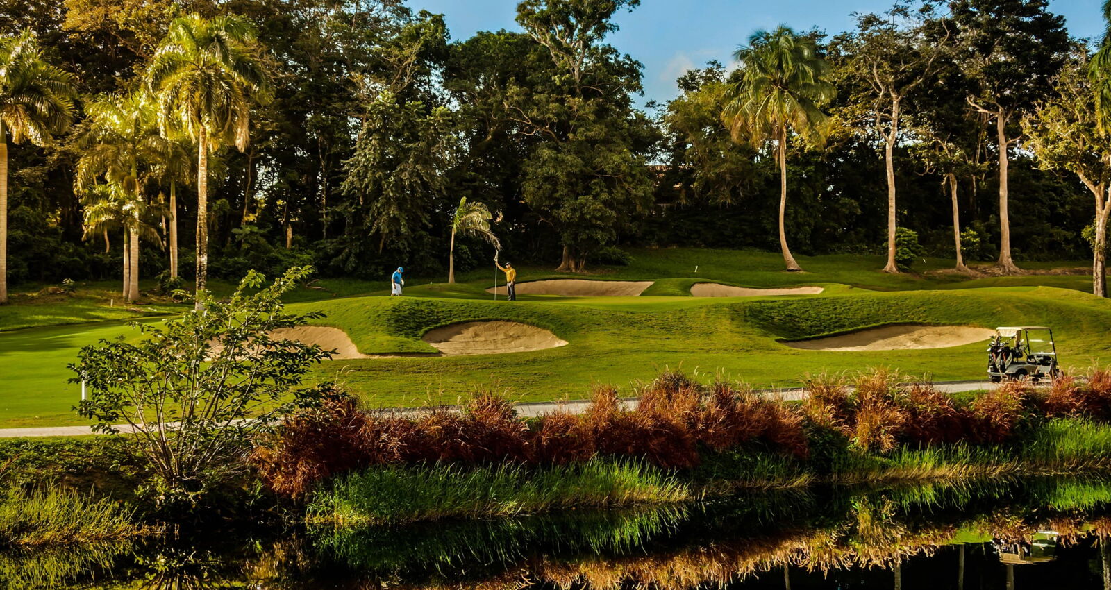 TPC Dorado Beach Golf Course