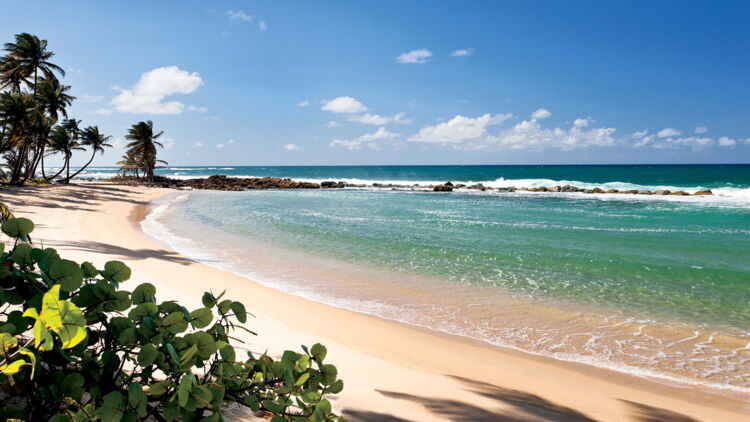 West Beach is Paradise