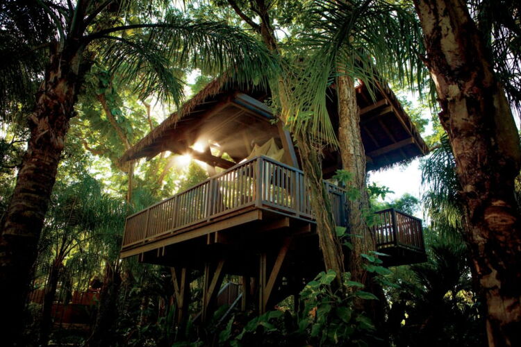 Spa Botanico Treehouse
