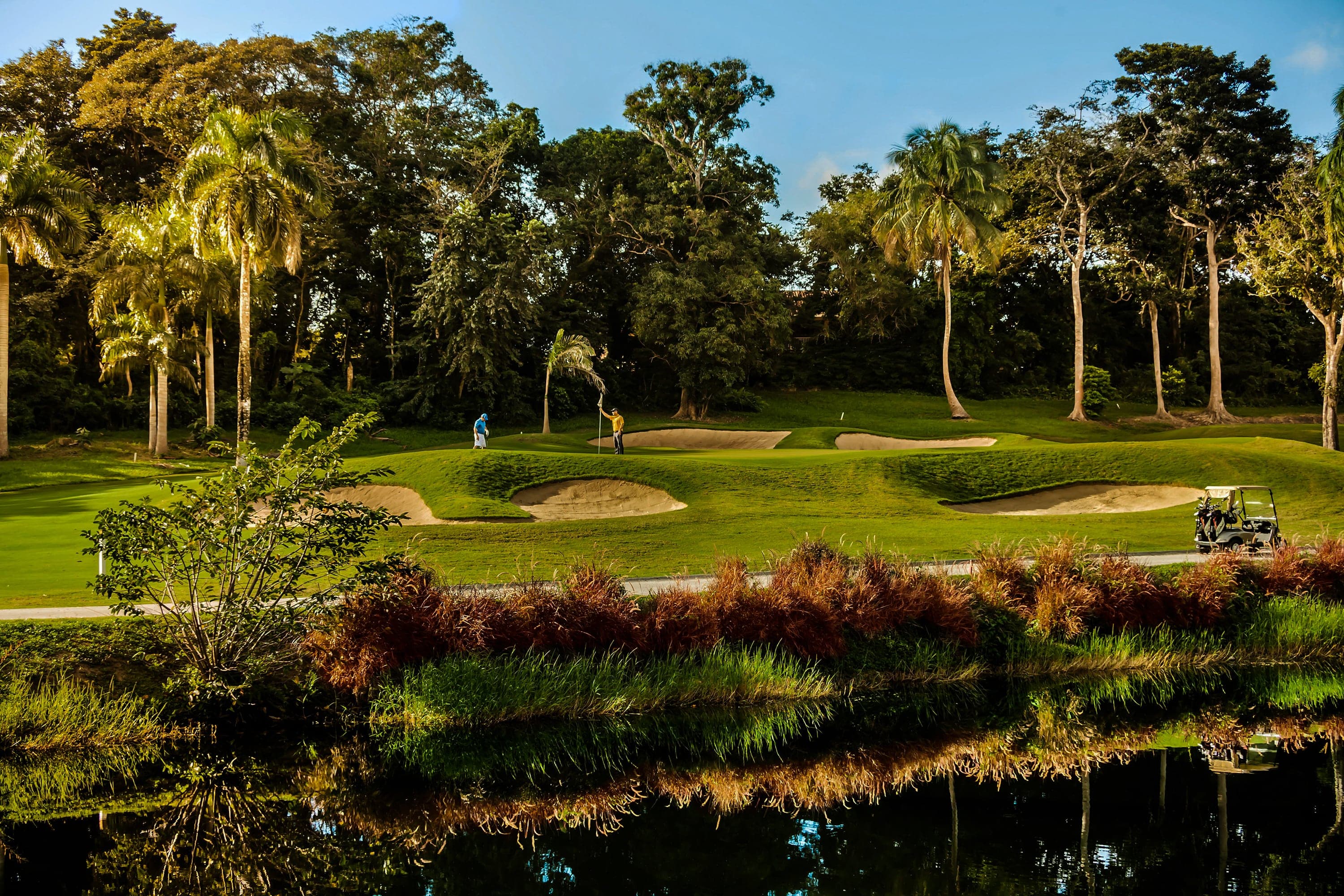 TPC Championship Golf Courses, Puerto Rico Dorado Beach Resort